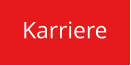 Karriere